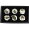 Image 1 : Display Box Featuring 7 Turquoise Nuggets