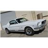 Image 3 : 1965 FORD MUSTANG FASTBACK