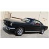 Image 1 : 1966 FORD MUSTANG FASTBACK