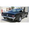 Image 6 : 1966 FORD MUSTANG FASTBACK