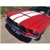 Image 15 : NO RESERVE 1967 SHELBY GT350 FASTBACK SHOW CAR