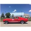Image 8 : NO RESERVE 1967 SHELBY GT350 FASTBACK SHOW CAR