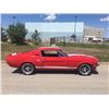 Image 9 : NO RESERVE 1967 SHELBY GT350 FASTBACK SHOW CAR