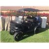 Image 2 : FRIDAY 2014 CLUB CAR CUSTOM GOLD CART