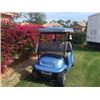 Image 2 : 2014 CLUB CAR CUSTOM GOLF CART