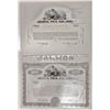 Image 1 : Jewel Tea Co., Inc., ca.1930s-1940s Production Proof Stock Certificate