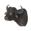 Image 2 : Water Buffalo Shoulder Trophy Mount. Height 36"; Horns 36"