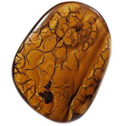 74.15ct View Koroit Boulder Opal