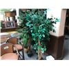 Image 1 : 8 SILK PLANTS AND TREES