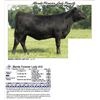 Image 1 : Marda Forever Lady 810