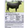 Image 1 : Premier Blackbird 703