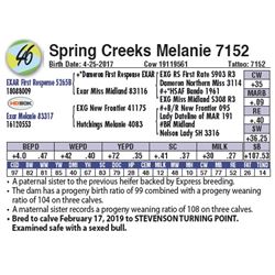 Spring Creeks Melanie 7152