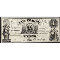 1800's $1 Egy Forint Obsolete Note