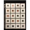 Image 1 : LOT OF USA PENNY'S