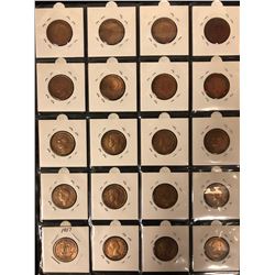 LOT OF HALF PENNY'S