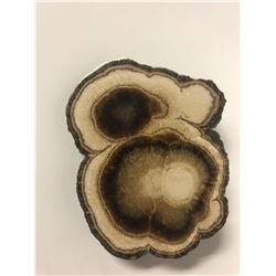 AGATE SLICE STONE SLAB