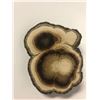Image 1 : AGATE SLICE STONE SLAB