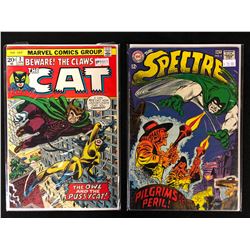 COMIC BOOK LOT (THE CAT #2/ THE SPECTRE #6)