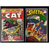 Image 1 : COMIC BOOK LOT (THE CAT #2/ THE SPECTRE #6)