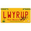 Image 1 : BOB ODENKIRK SIGNED NEW MEXICO LICENSE PLATE (BECKETT COA)