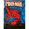Image 1 : (LARGE) THE AMAZING SPIDER-MAN SATIN BANNER