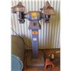 Image 1 : Baldor 8107WED Grinder, 3/4 HP w/ Foot Switch