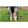 Image 4 : Almaco Single-Row Plot Harvester (Other Location Removal By Appointment)