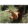 Image 8 : John Deere Water Pump