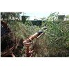 Image 2 : Irrigation Tracking Gun
