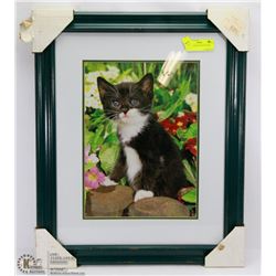 WOOD FRAMED KITTEN PICTURE