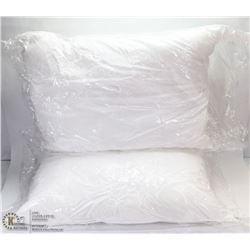 LOT OF 2 NEW PLUSH PILLOWS.