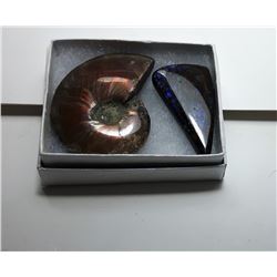 8)  AMMONITE FOSSIL SPECIMEN