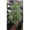 Image 1 : 5FT ARTIFICIAL TREE