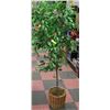 Image 1 : 6' SILK TREE