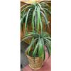 Image 1 : ARTIFICIAL SPIDER PLANT IN METAL POT