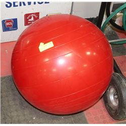 EXERCISE BALL