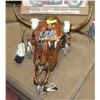 Image 1 : PAINTED COW SKULL