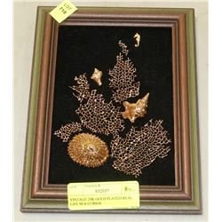 VINTAGE 24K GOLD PLATED REAL LIFE SEA CURIOS