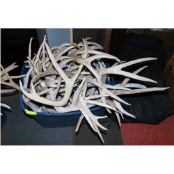 LOT OF 50LBS DEER ANTLER SHEDS