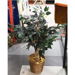 INDOOR PLANT 30” TALL REAL WOOD STEM