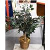 Image 1 : INDOOR PLANT 30” TALL REAL WOOD STEM