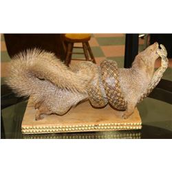 MOUNTED WEASEL FIGHTING A SNAKE DECOR