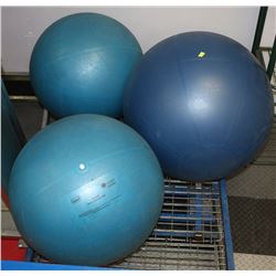 3 EXCERCISE BALLS