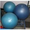 Image 1 : 3 EXCERCISE BALLS