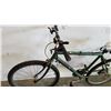 Image 3 : GREEN NO NAME BIKE