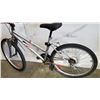 Image 4 : RALEIGH SUMMIT BIKE