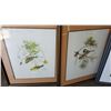 Image 3 : TWO LIMITED EDITION PRINTS AND WATER COLOR BY MICHAEL HUNTER