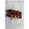Image 3 : RAVEN ACOUSTIC GUITAR