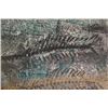 Image 2 : A "fossil tube" painting decoration with framing.