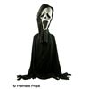 Image 1 : Scream 4 Ghostface Killer's Screen Worn Robe Movie Costumes
